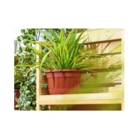 BABA ROUND POT SERIES BIODEGRADABLE FLOWER POT 2013 COTTA