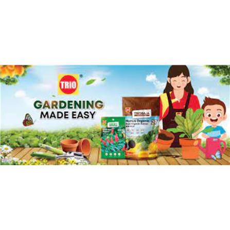 EP SALVIA SPLENDENS DESSERT RED TS076