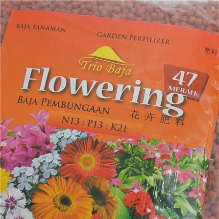 TRIOBAJA 47 FLOWERING TRIO TF006 1KG