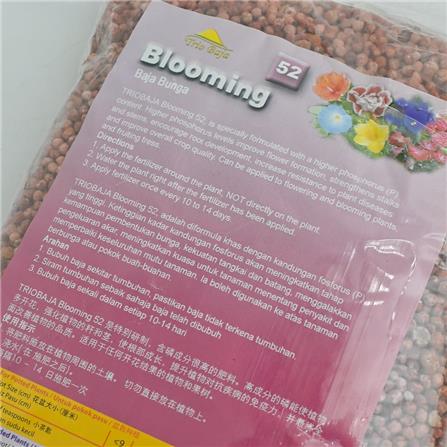 TRIOBAJA 52 BLOOMING TRIO TF010 1KG