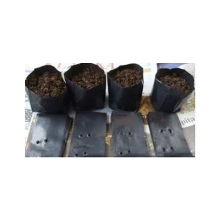 POLY BAG 0909 TRIO TT004 2.5X12X26CM BLK