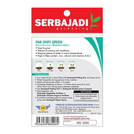 BAJA SERBAJADI PAK CHOY GREEN VEGETABLE SEED BBS006 1GM