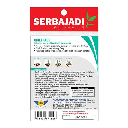 BAJA SERBAJADI CHILI PADI VEGETABLE SEED BBS010 1GM