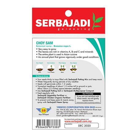 BAJA SERBAJADI CHOY SUM VEGETABLE SEED BBS011 1GM