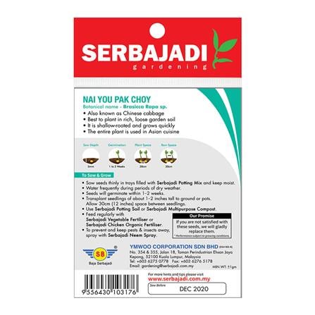 BAJA SERBAJADI NAI YOU PAK CHOY VEGETABLE SEED BBS013 1GM