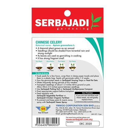 BAJA SERBAJADI CHINESE CELERY VEGETABLE SEED BBS026 1GM
