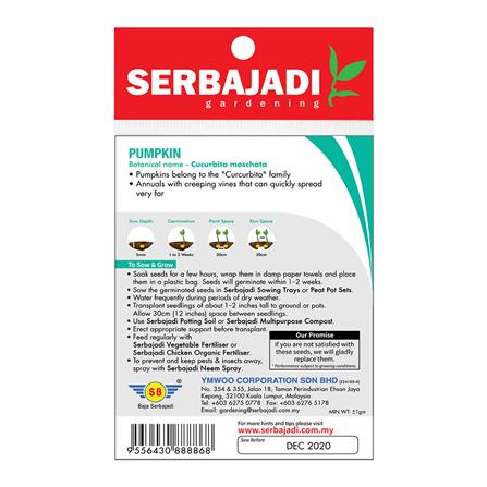 BAJA SERBAJADI PUMPKIN VEGETABLE SEED BBS035 1GM