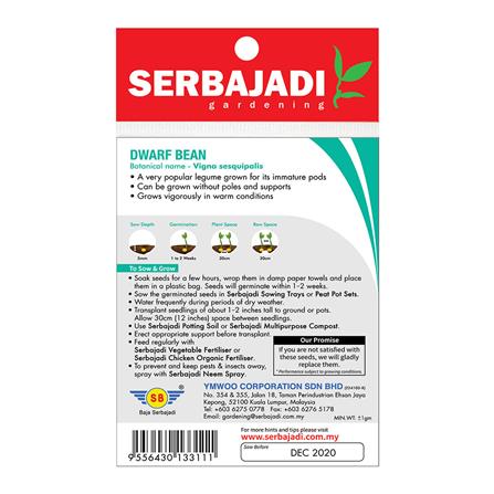 BAJA SERBAJADI DWARF BEAN VEGETABLE SEED BBS048 1GM