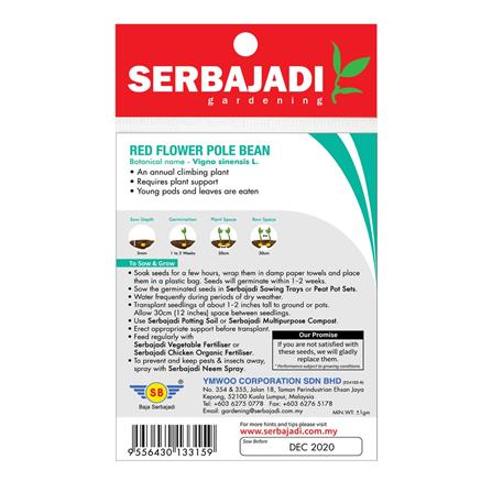 BAJA SERBAJADI RED FLOWER POLE BEAN BBS056 1GM