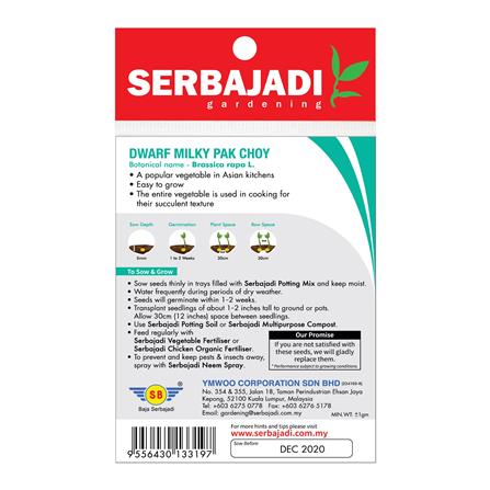 BAJA SERBAJADI DWARF MILKY PAK CHOY VEGETABLE SEED BBS061 1GM