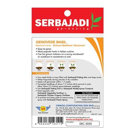 BAJA SERBAJADI GENOVESE BASIL HERB SEED