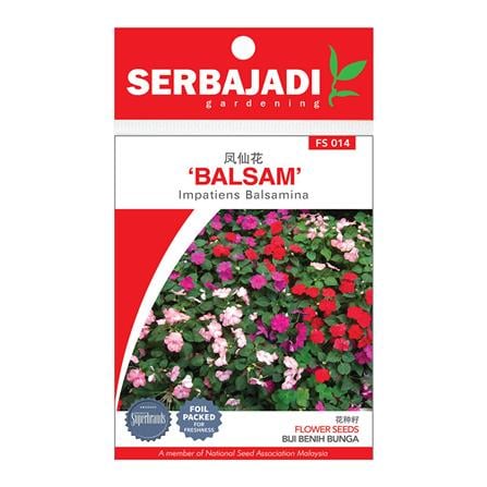 BAJA SERBAJADI IMPATIENS BALSAMINA FLOWER SEED