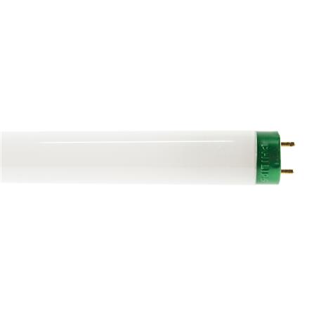 FLUORESCENT LAMP LONG PHILIPS BRIGHT BOOST (TL-D 36W/865)