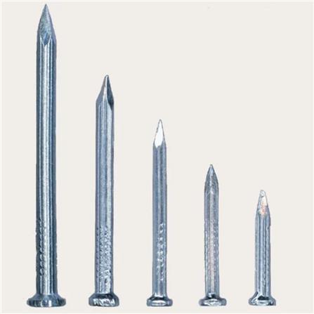 WINSIR WHITE CONCRETE NAIL  50g 2-1/2x11