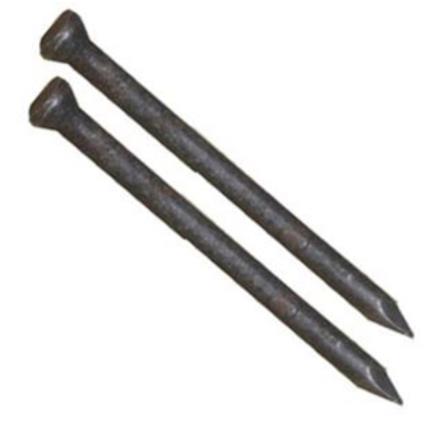 WINSIR BLACK STEEL NAIL 50 PIECES  (20 X 2.0M)