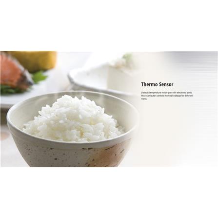 PANASONIC MICROCOMPUTER RICE COOKER SR-DF181WSK 750WATT 1.8LITER