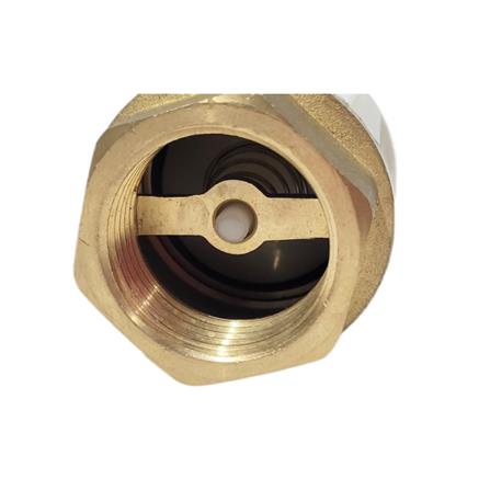 ANA BRASS SPRING CHECK VALVE 1170 - 1"