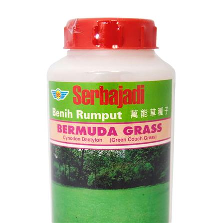 BAJA SERBAJADI BERMUDA GRASS SEED 500GM