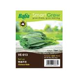 BABA VE-013 TYPE B CHINESE K.CURLY LEAF