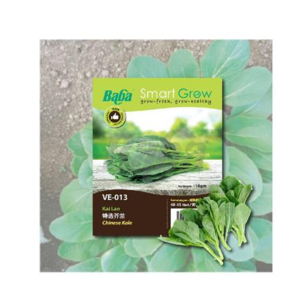 BABA VE-013 TYPE B CHINESE K.CURLY LEAF