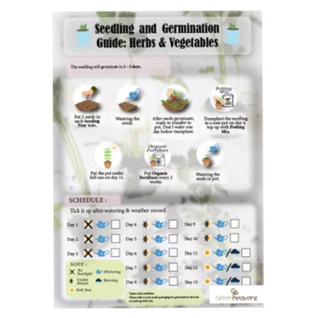 BABA VE-023 F1 HYBRID LONG BRINJAL