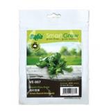 BABA VE-007 LOCAL GREEN ROUND AMARANTH