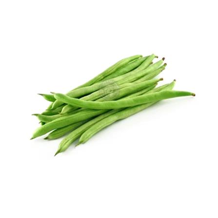 BABA VE-011 RED FLOWER FRENCH BEAN