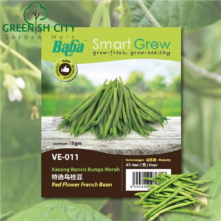 BABA VE-011 RED FLOWER FRENCH BEAN