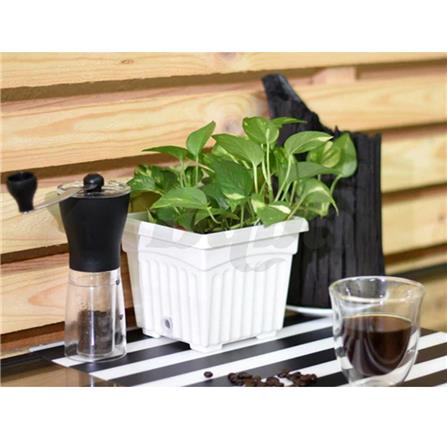 BABA BI SQ-200 ZEN GREY