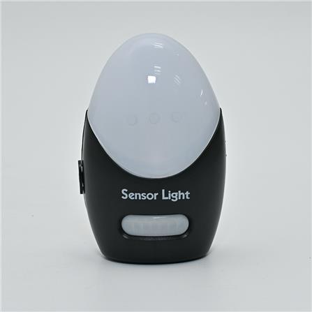 SENSOR LIGHT MOTION PF00069 0609 EAGO