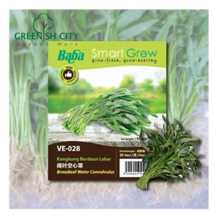 BABA VE-028 GE GRADE A WATER CONVOLVULUS