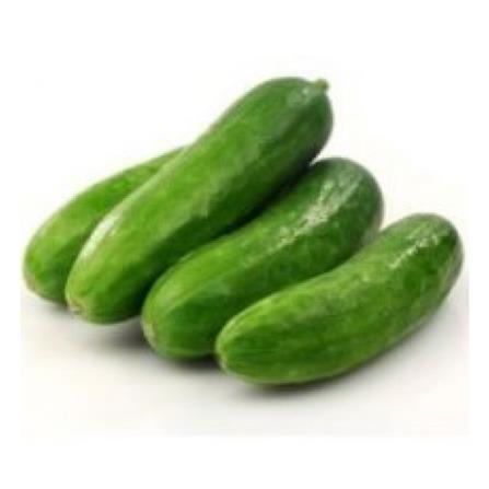 BABA VE-041 F1 MINI CUCUMBER