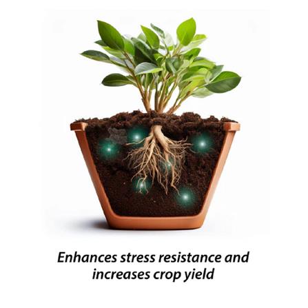 MR GANICK 532 ORG LEAFY FERTILIZER 1KG