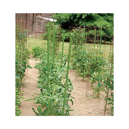 TAKIRON PLANT STAKE 8MM X 900MM