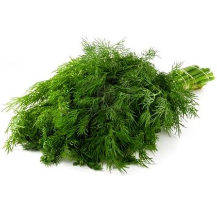 TRIO EP HERBS SEEDS DILL