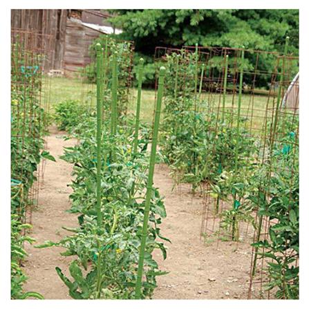 TAKIRON PLANT STAKE 11MM X 1200MM