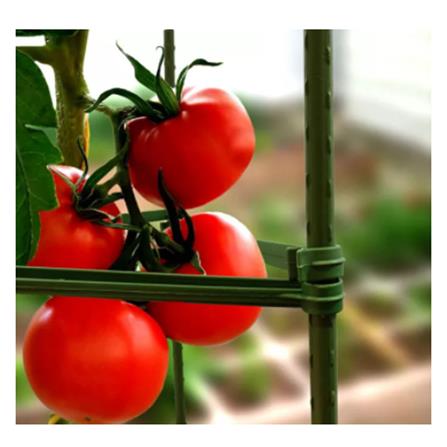 TAKIRON PLANT STAKE 11MM X 1500MM