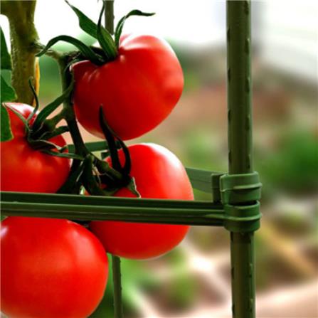 TAKIRON PLANT STAKE 16MM X 1800MM