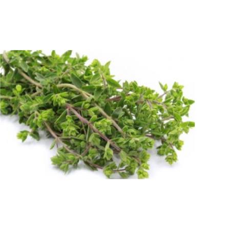 TRIO EP HERBS SEEDS MARJORAM