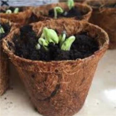 TRIO GROWMATE PEAT CUP - SQ3' - 9 CUPS