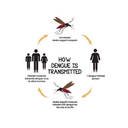 BIO-D ANTI-AEDES HOME KIT 3IN1
