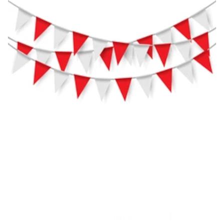 SAFETYHMS PLASTIC FLAGS 20M WHITE / RED