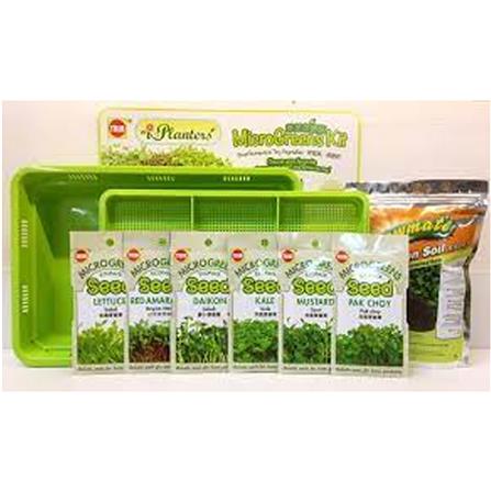 TRIO PLANTERS MICROGREENS KITS / MICROGREENS TRAY