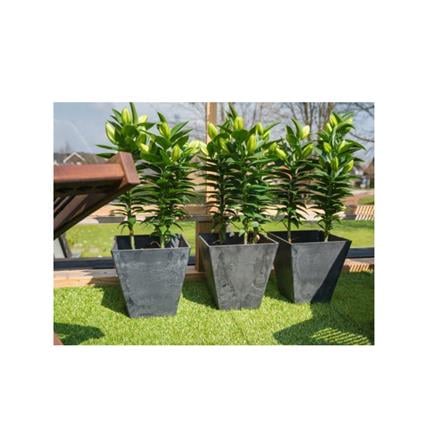 ARTSTONE ELLA POT D20 H20 BLACK