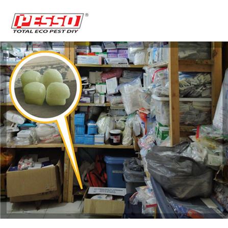 PESSO ANTI LIPAS CUBE SERAI WANGI 10PCS