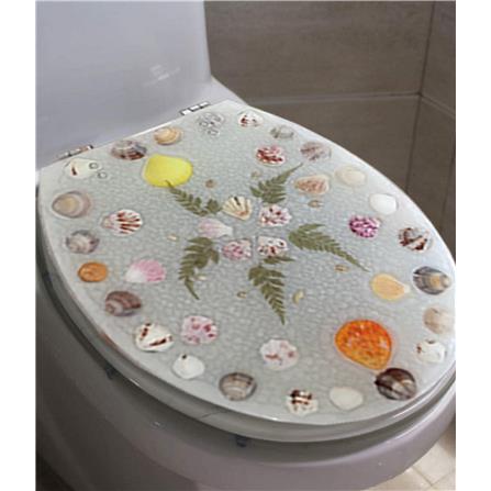 HOMEPRO MOYA TOILET SEAT COVER SOFT CLOSING PL-A070