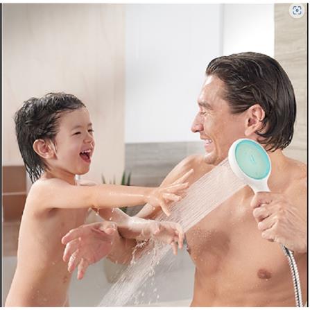 AMERICAN STANDARD HAND SHOWER FFASS506-000600BF0 GREEN (H59XW38XD20 CM)