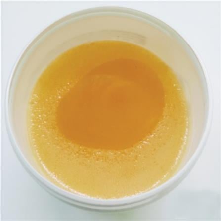 RID RATS EXTERMINATOR GLUE (NON-POISONOUS) 300ML