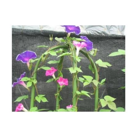 TAKIRON ACRE PIPE 11MM X 1200MM GREEN