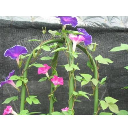 TAKIRON ACRE PIPE 11MM X 1500MM GREEN